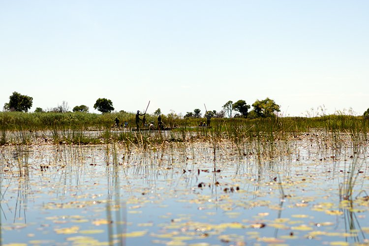 BWA NW OkavangoDelta 2016DEC02 Mokoro 020